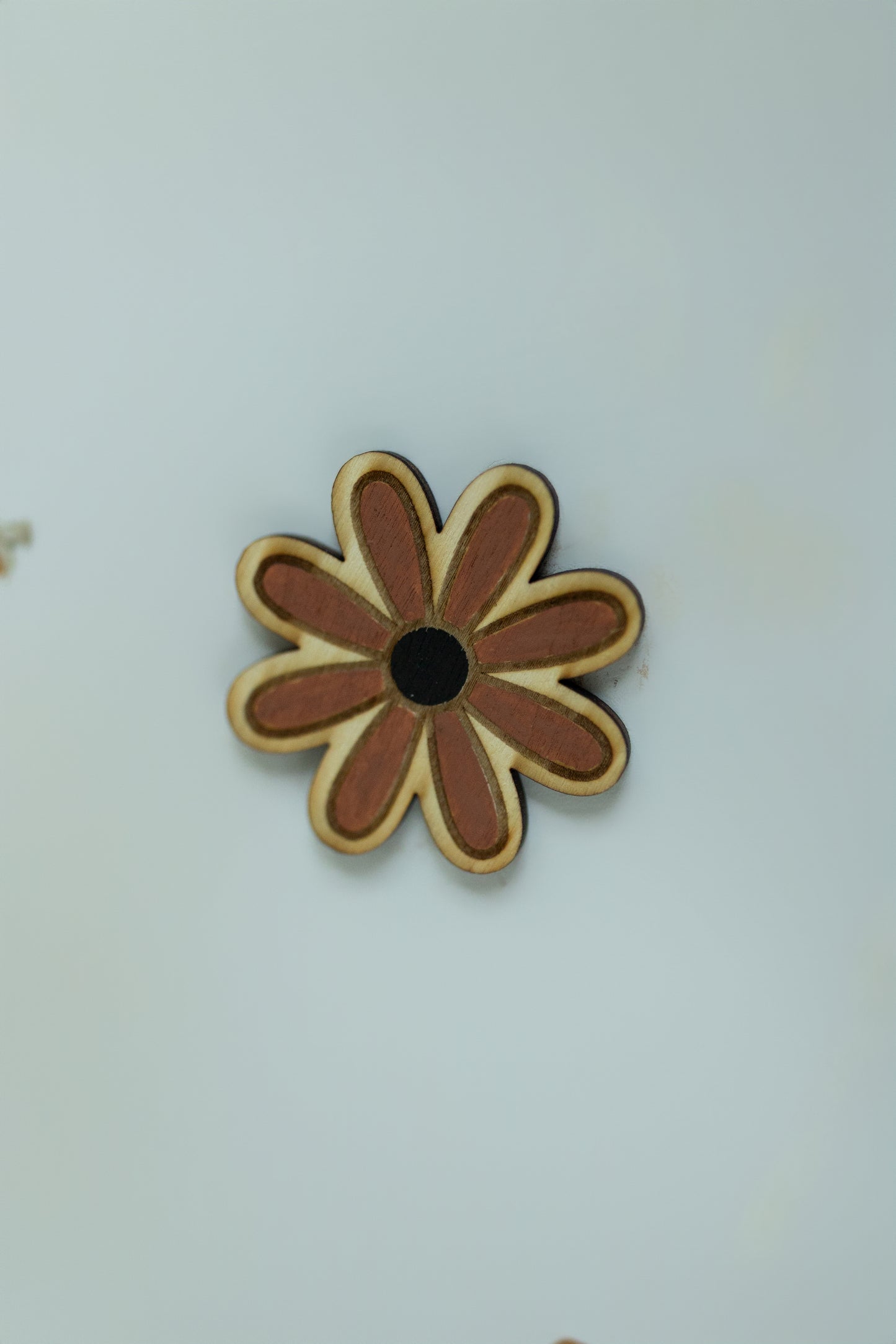 Wood Magnet - Crisp Brown Daisy - Set of 2